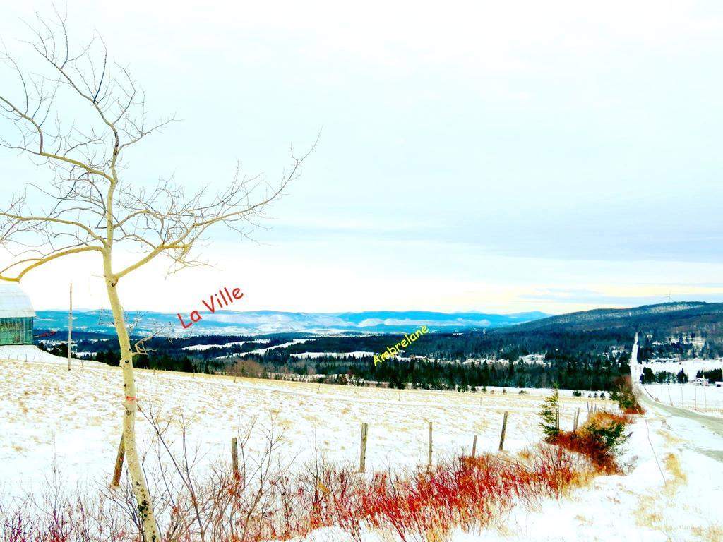 Le Gite Ambrelane Thetford Mines Exterior photo