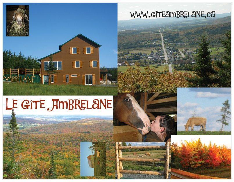 Le Gite Ambrelane Thetford Mines Exterior photo