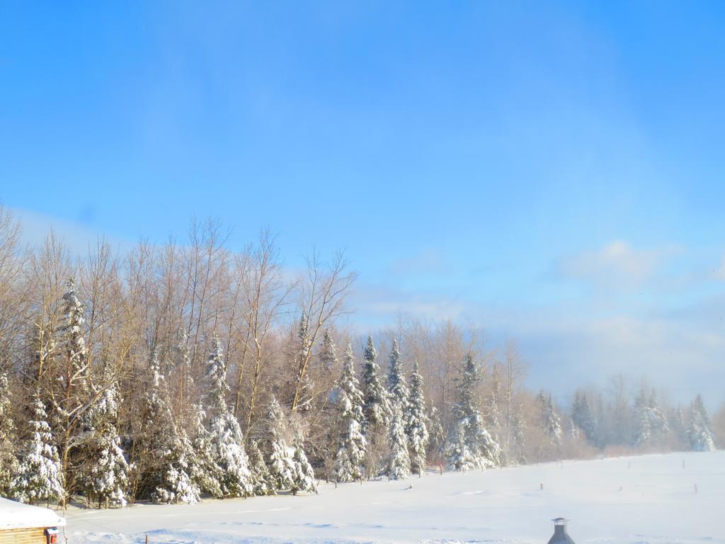 Le Gite Ambrelane Thetford Mines Exterior photo